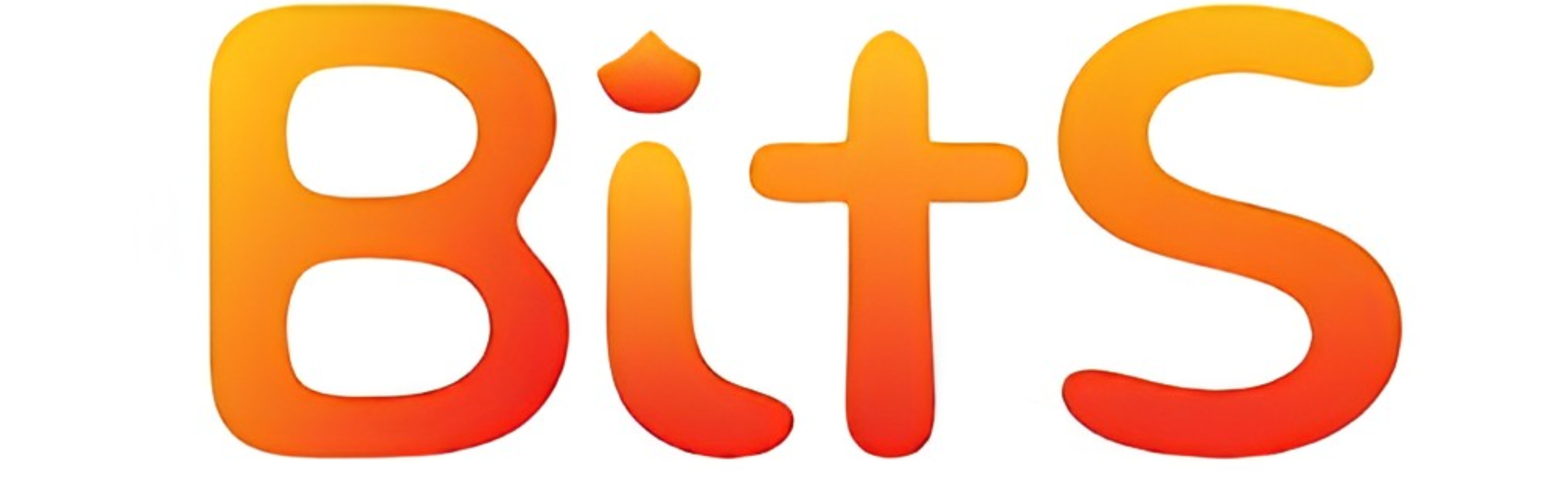 bits